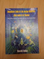 David Icke: Unendliche Liebe ist die einzige Wahrheit alles