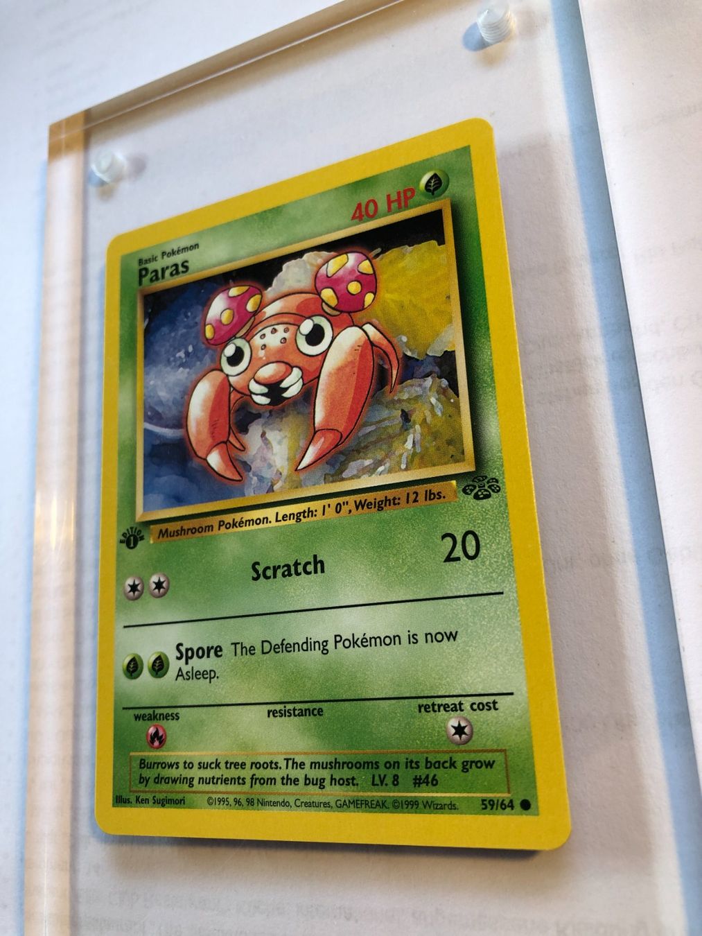 Carte collezionabili: Paras 1st Jungle - NM - ab 1.- – Usato da Giubiasco venduto da dan_pr8b 2