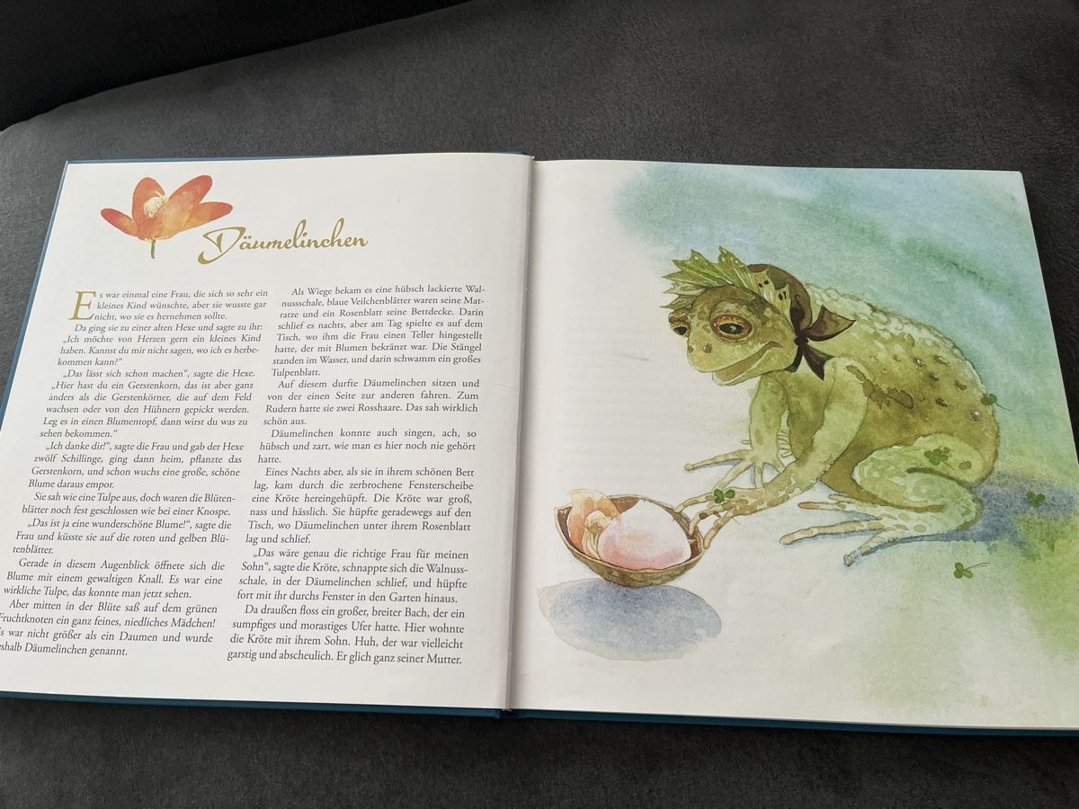Libri: Die schoensten Maerchen von H.C. Andersen, Maerchenbuch, Mae – Usato da Niederhasli venduto da Suneblueme 2