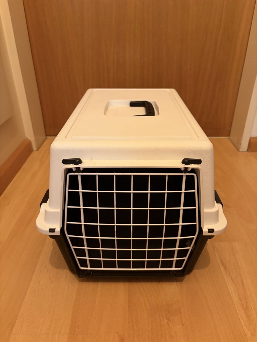 Cages, transport & sécurité: Transportbox für Katzen oder Kleintiere – D'occasion à Bättwil par muuusi