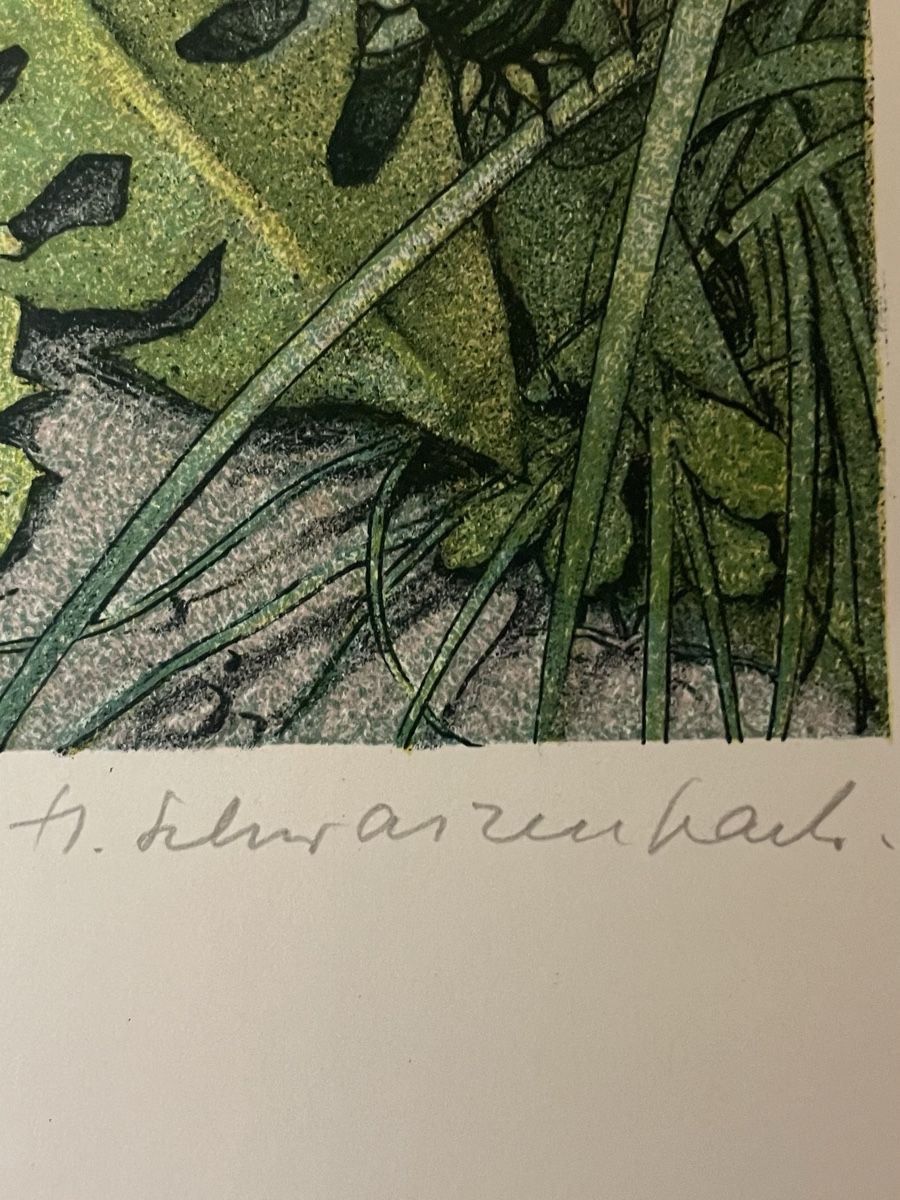 Grafiken & Lithographien: Hans Schwarzenbach, Litho – Gebraucht aus Hindelbank von chinok01 2