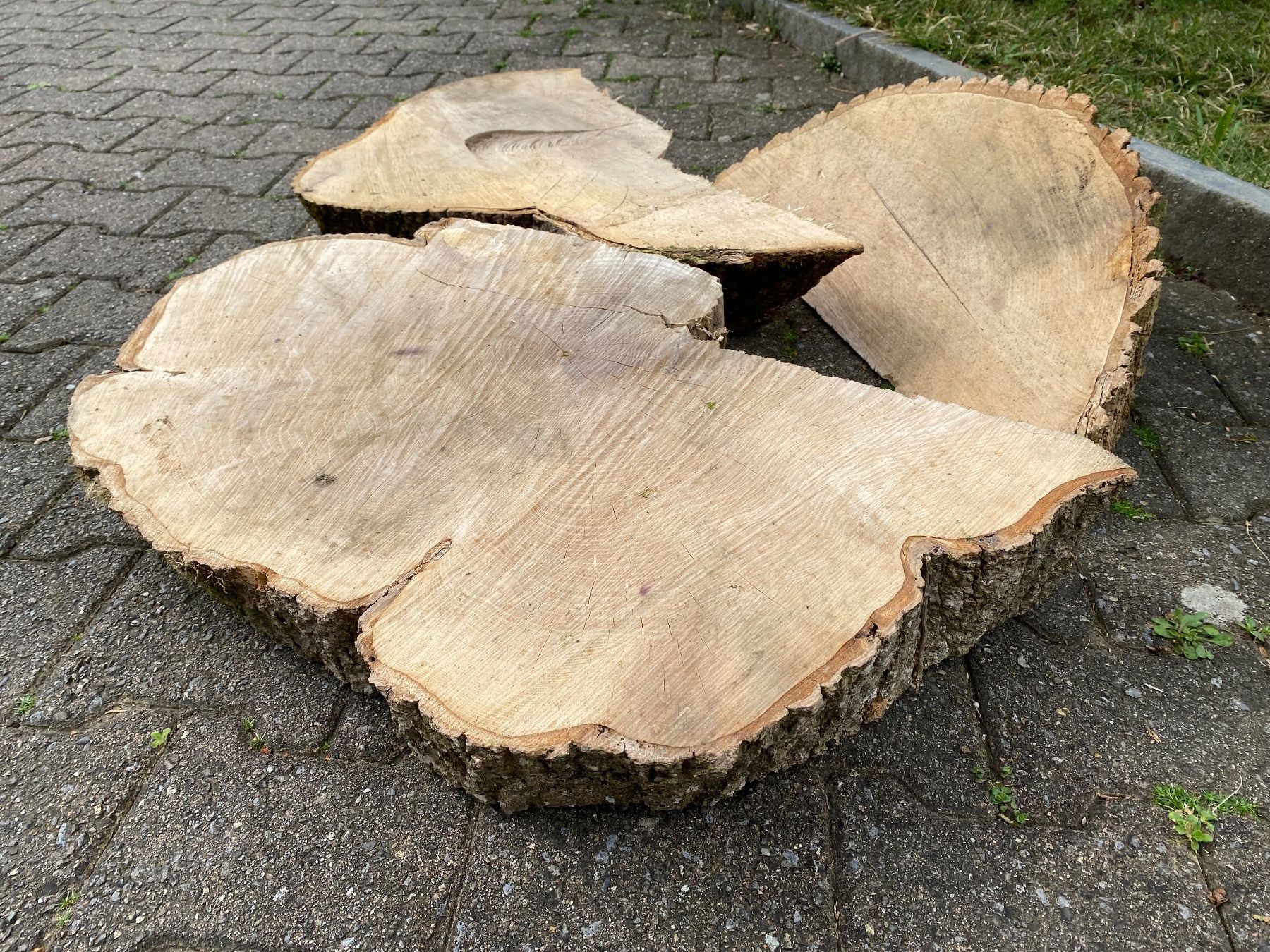 Articoli in legno: 3 schöne Esche-Baumscheiben – Usato da Feldbach venduto da Olive1 3