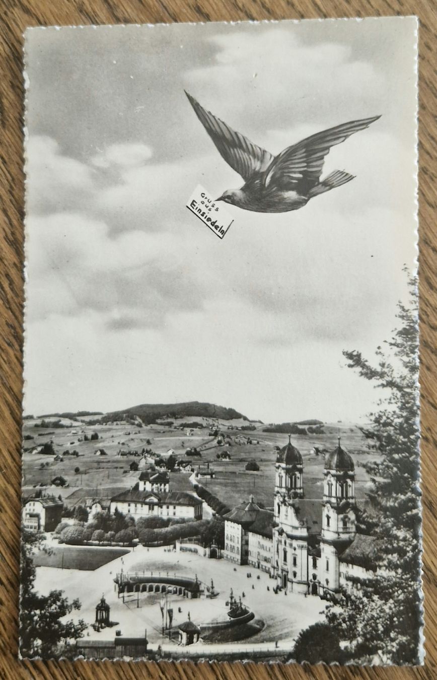 Cartoline postali: Gruss aus Einsiedeln, Kloster u. Wallfahrtskirche – Usato da Ebikon venduto da Donar50