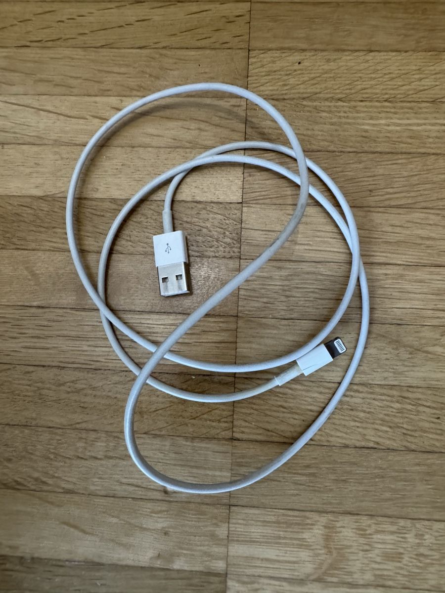 Apple Kabel: Cavo Apple Lightning originale - Affare imperdibile! – Gebraucht aus Viganello von BlackPanda0003