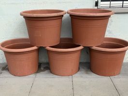 Blumentopf Pflanzentopf Pflanzengefäss Pflanzen Topf 60 cm
