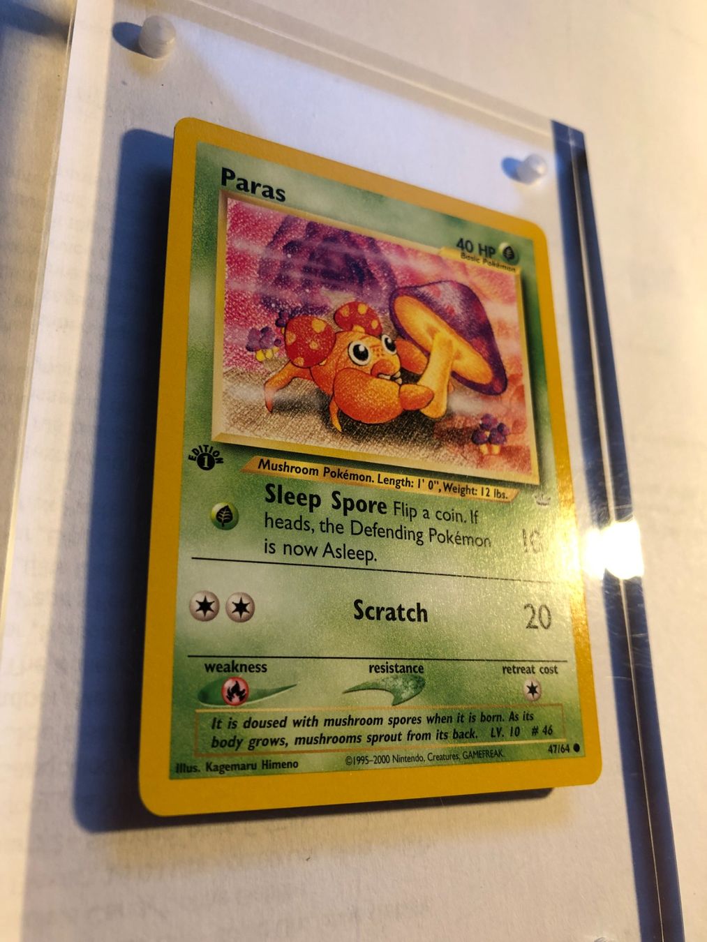 Carte collezionabili: Paras 1st Neo Revelation - MINT - ab 1.- – Usato da Giubiasco venduto da dan_pr8b 1