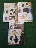 Manga Voll kein Typ 1-3 / Deutsch 