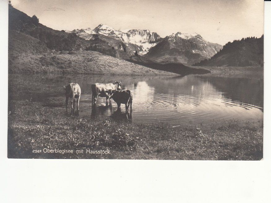 Cartoline postali: Oberblegisee ca. 1920, mit Stempel Bataillon 80 – Usato da Bürglen TG venduto da StampGraf