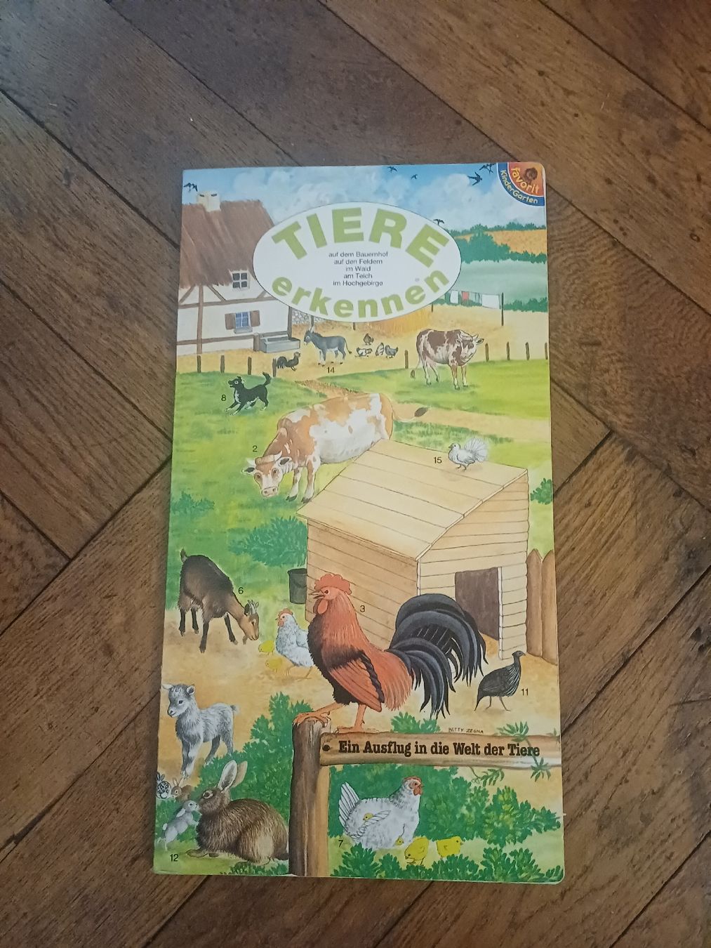 Libri: Kinderbuch: Tiere erkennen – Usato da Schönenwerd venduto da pomodor