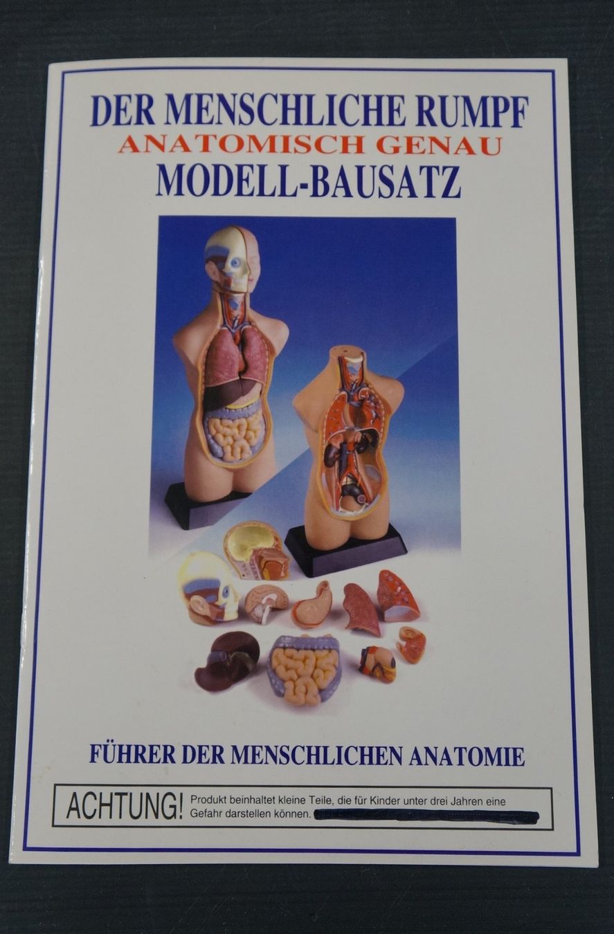 Kit di modellismo & Modellini statici: Anatomie Modell Torso (Rumpf) – Usato da Basel venduto da bk_brockibasel 2