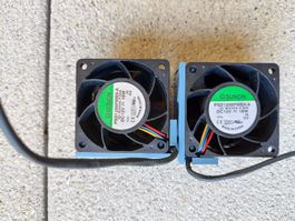 SUNON fan 6mm