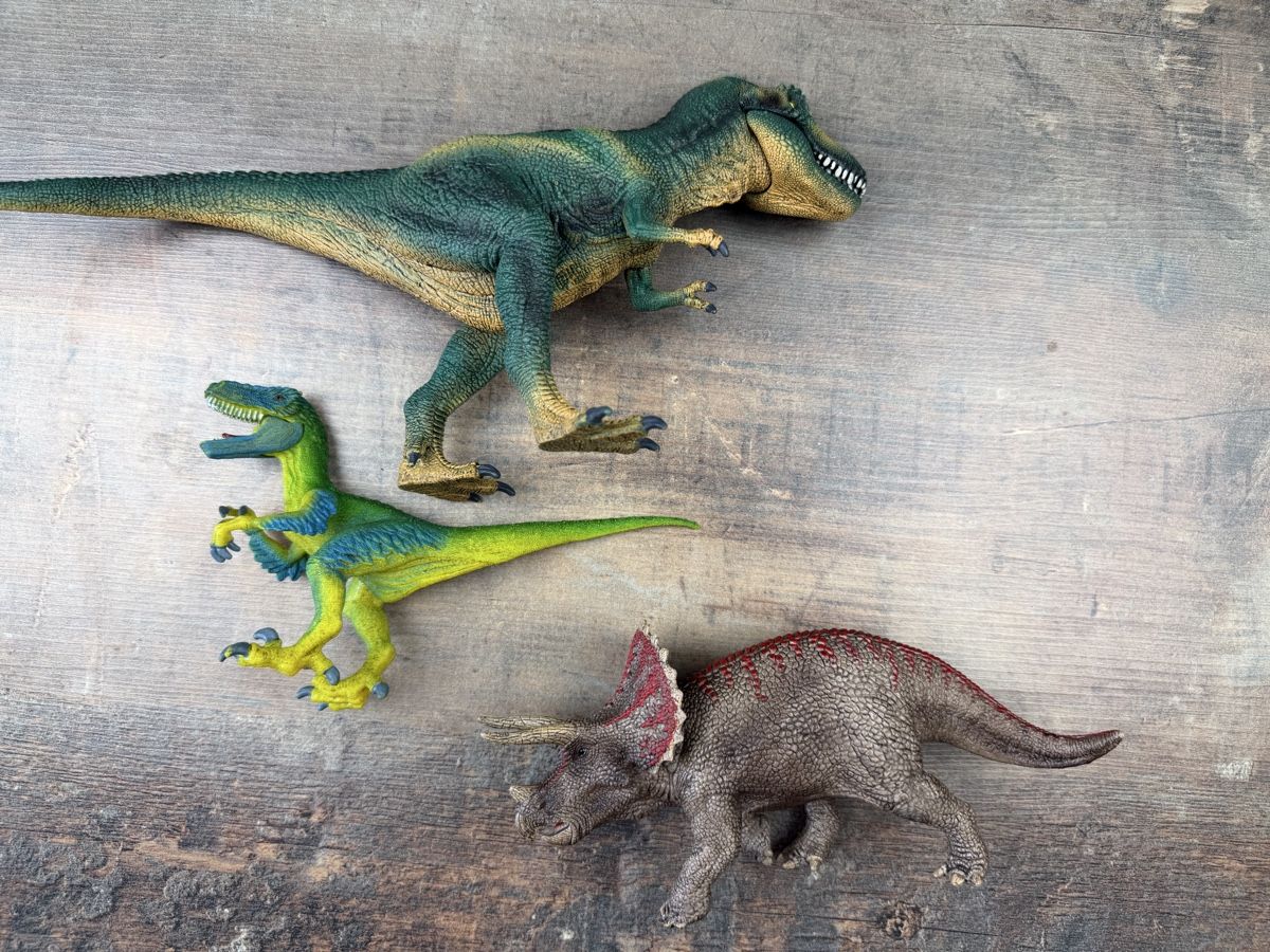 Schleich Jouets: Schleich Dinosaurier Figuren Set 3 Stk  – D'occasion à Hallau par R.R.91 1