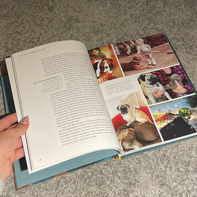 Libri: Buch Hunde "das Wunder der Bindung" Jochen Bendel – Usato da Winterthur venduto da fst_gx8c 2