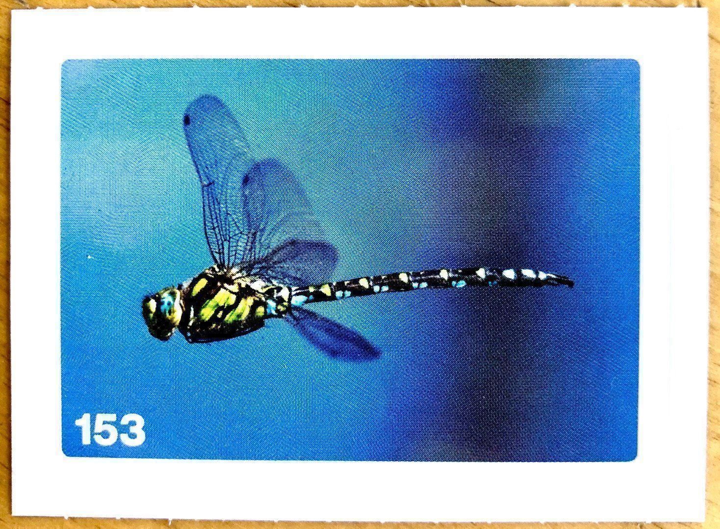 Migros Carte collezionabili: Migros Nature Detectives - Bild Nr. 153 – Nuovo (secondo la descrizione) da Oberrieden venduto da Zimmerberg10