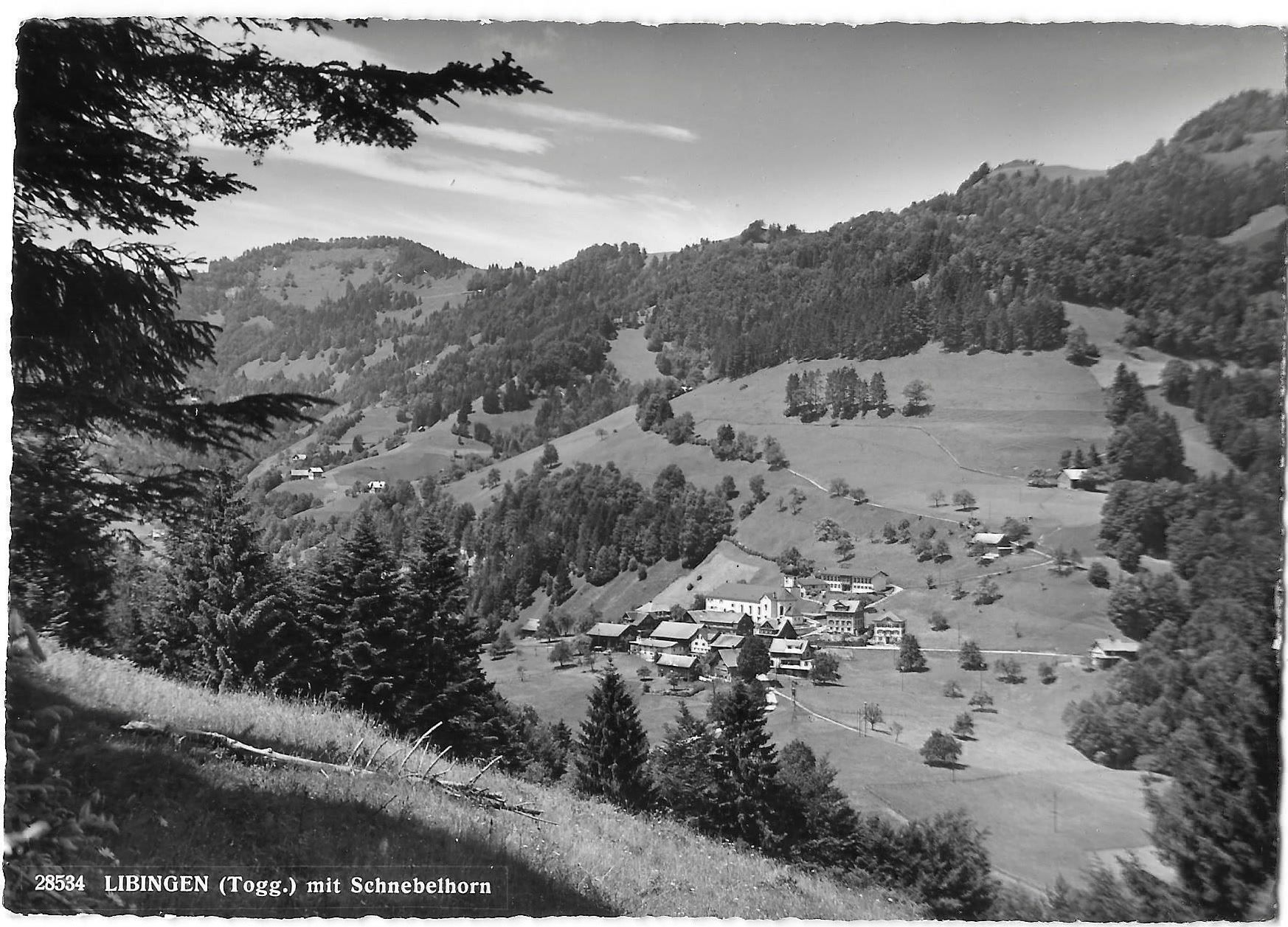 Cartes postales: Libingen mit Schnebelhorn – D'occasion à Olten par clotaldi
