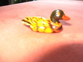 kleine Ente