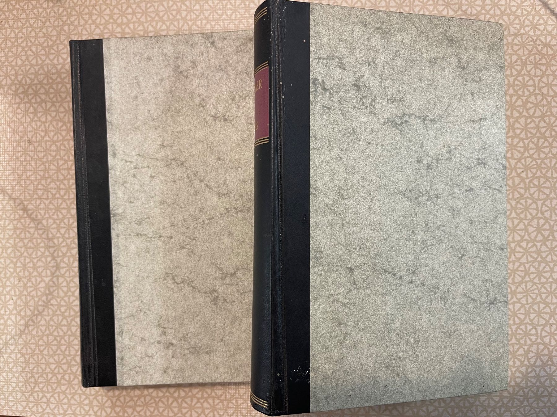 Libri: 2 Bücher - Homer 1+2 – Usato da Urnäsch venduto da pas_5r9c 1