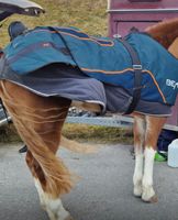 Bemer Horse Decke
