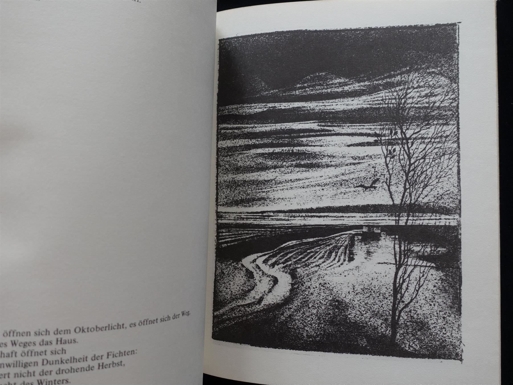 Libri: Talven Ainoa Valo / signiert – Usato da Gutenswil venduto da Optico 4