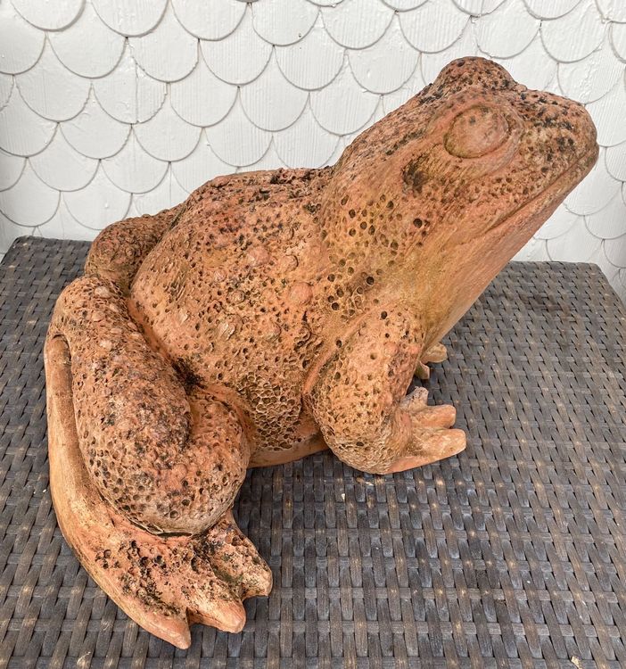Gartendeko Frosch Gross Keramik 30x50x40cm Kaufen auf Ricardo