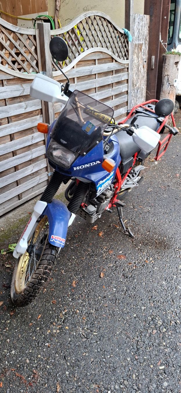 Honda Enduro: Honda NX 650 Dominator – Usato da Niederdorf venduto da SwissShinobi 2