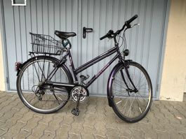 Wıllıger 28 Zoll Damen City Velo