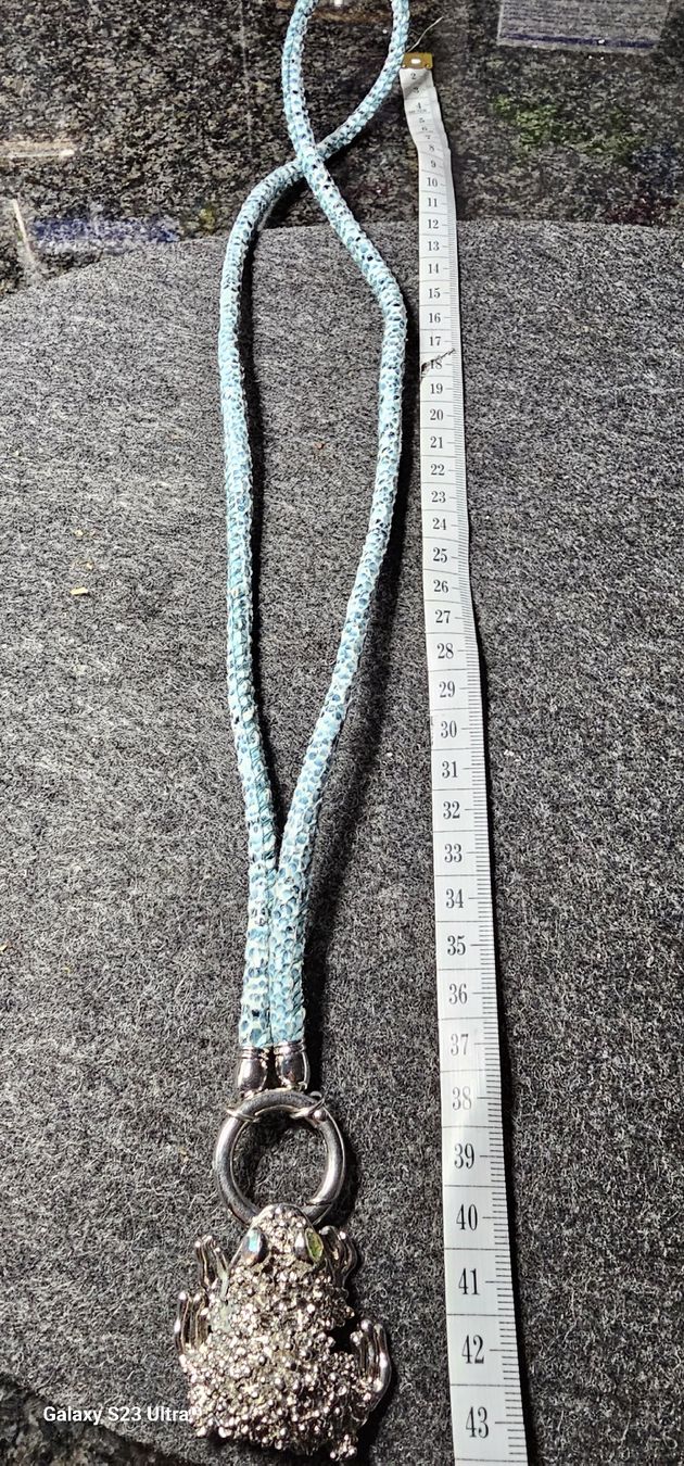 Ketten: Frosch-Kette mit Strass-Steinen, , Sommer-Look – Gebraucht aus Wangen b. Olten von tagra69 1