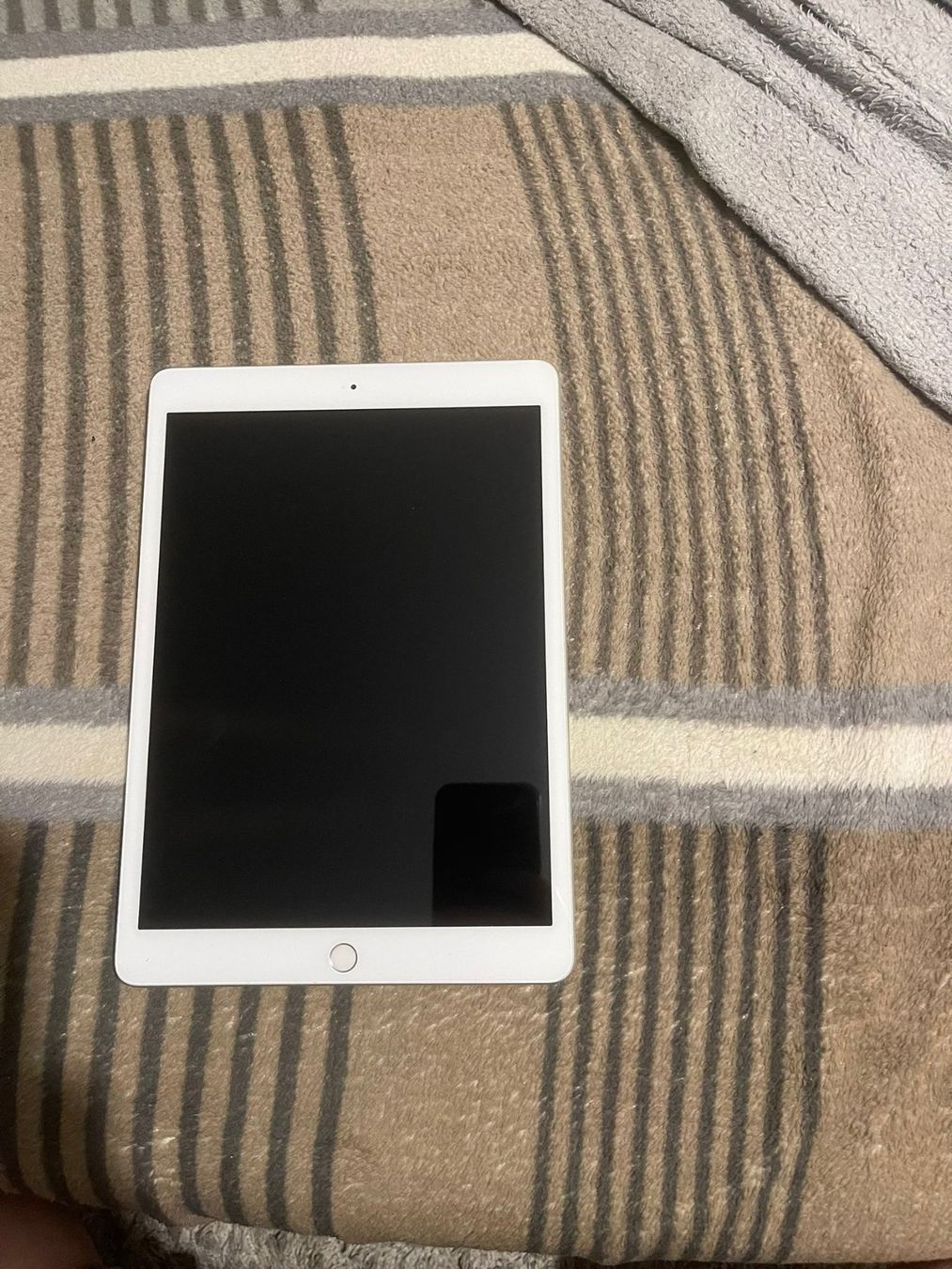 Apple Tablet PC: Apple iPad 7. Generation 32GB Wifi - Silber – Usato da Turgi venduto da Bastian19946