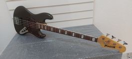 E-Bass Maison professional frisch ab service
