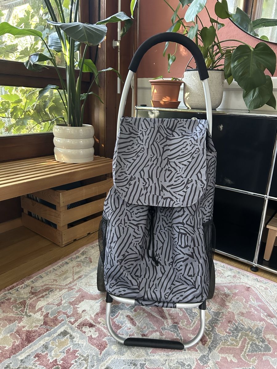 Sonstiges für Haushalt & Wohnen: Einkaufswagen/Trolley – Gebraucht aus Basel von Nicetohave13