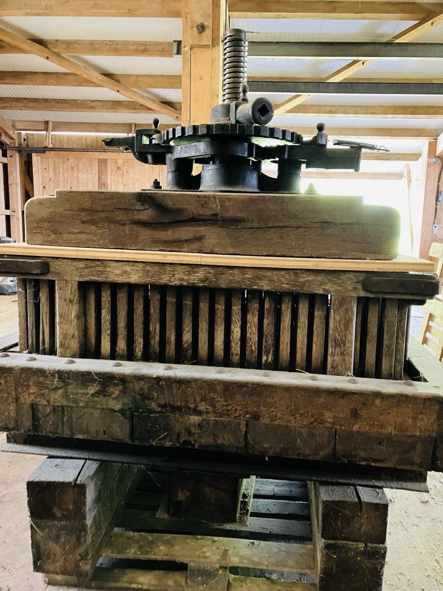 Tutte le macchine: Mostpresse & Mostmühle – Usato da Goldingen venduto da sutej2 3