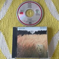 WHITE LION-BIG GAME