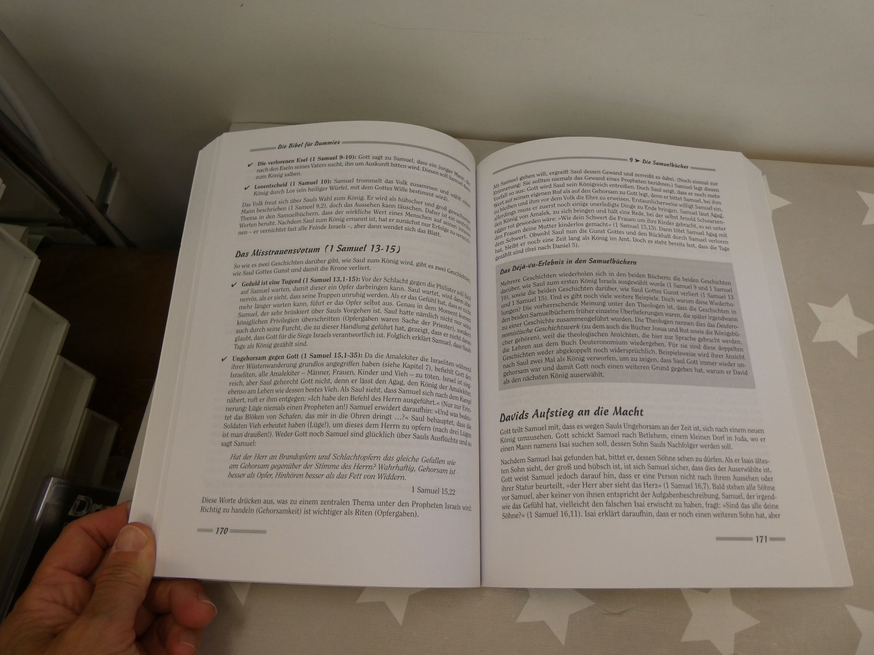 Libri: Buch: Die Bibel für Dummies – Usato da Rafz venduto da Powacaddy 4