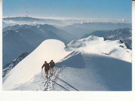 Piz Palü 1971