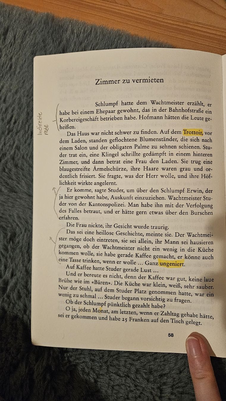 Libri: Schlumpf Erwin Mord, Friedrich Glauser – Usato da Bern venduto da Snowflake38 1