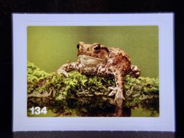 MIGROS MANIA Nature Detectives Nr. 134