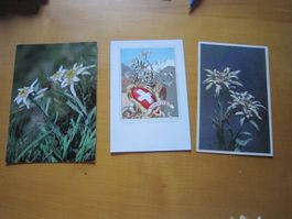 No 2 Postkarten Edelweiss verschiedene Perioden