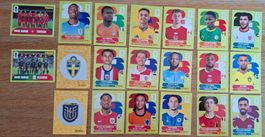 Panini 2026