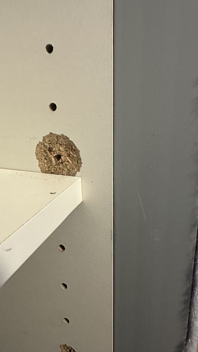Armadi: kleiderschrank – Usato da Wittenbach venduto da sevidubach 4