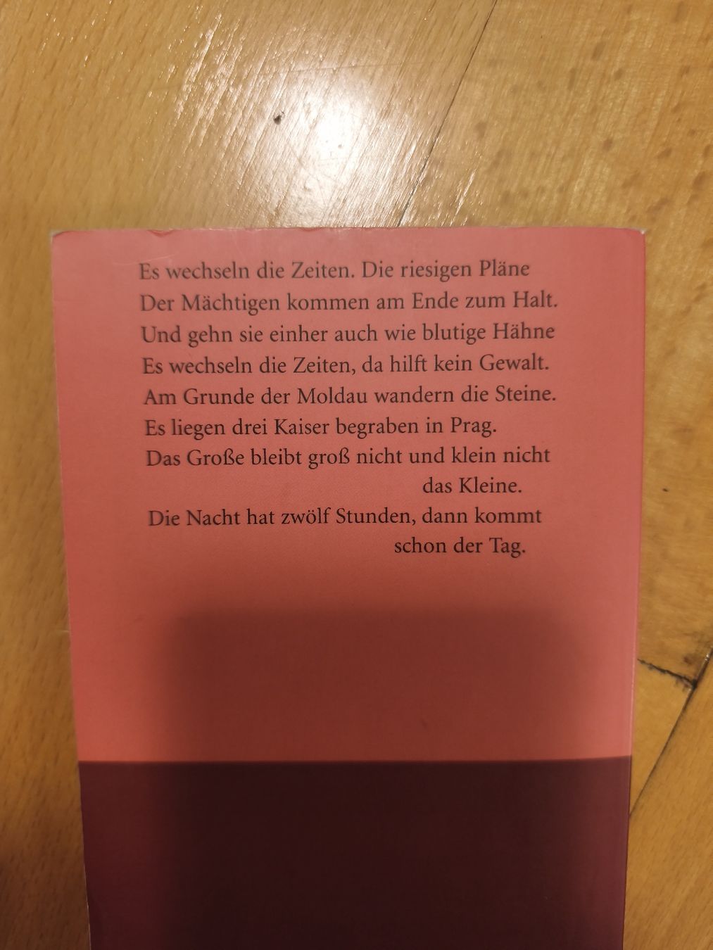 Libri: Bertolt Brecht - 100 Gedichte, Suhrkamp – Usato da Brugg AG venduto da ccoorriinnee 1