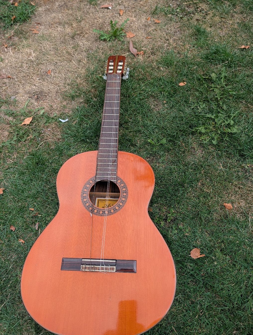 Instruments de musique: gitarre – D'occasion à Täuffelen par Seeberg-ag.ch