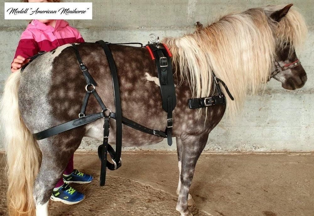 Briglie & Cavezze: Mini Shetty Geschirr Einspänner Minishetty nach Mass! – Nuovo e nell'imballaggio originale da Hinterforst venduto da Elfrasty