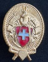 ANSTECKNADEL SAC GOLDFARBIG