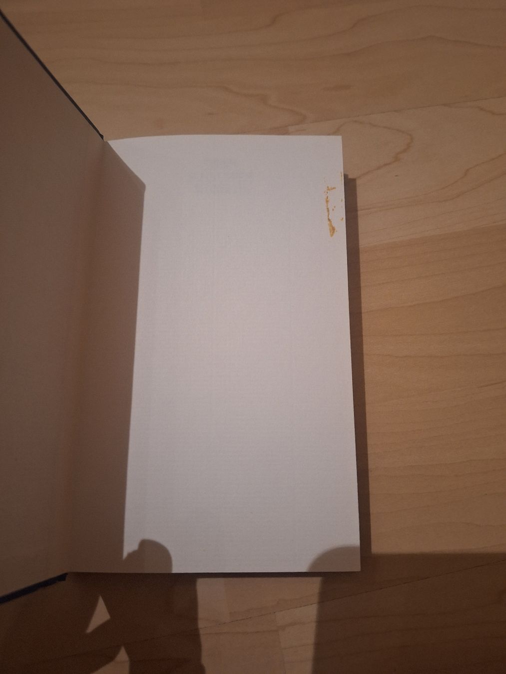 Bücher: Buch Sternschnuppenwünsche – Gebraucht aus Wanzwil von chlinih93 2