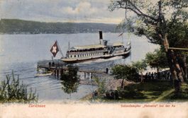 Zürichsee. Salondampfer "Helvetia" bei der Au
