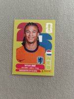 Panini NED7