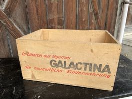 Antike Kiste Galactina