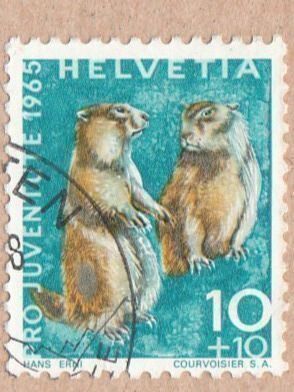 Tous les timbres: SBK J211.3.01 – D'occasion à Bürglen TG par StampGraf