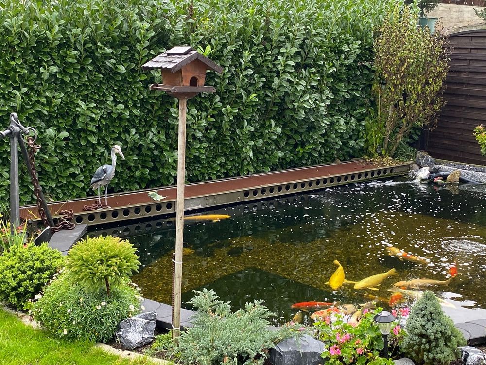 Rampe,Armee,Koi,Teich,Fr.1.,Fischteich,Militär,Armyk,Koi Kaufen auf