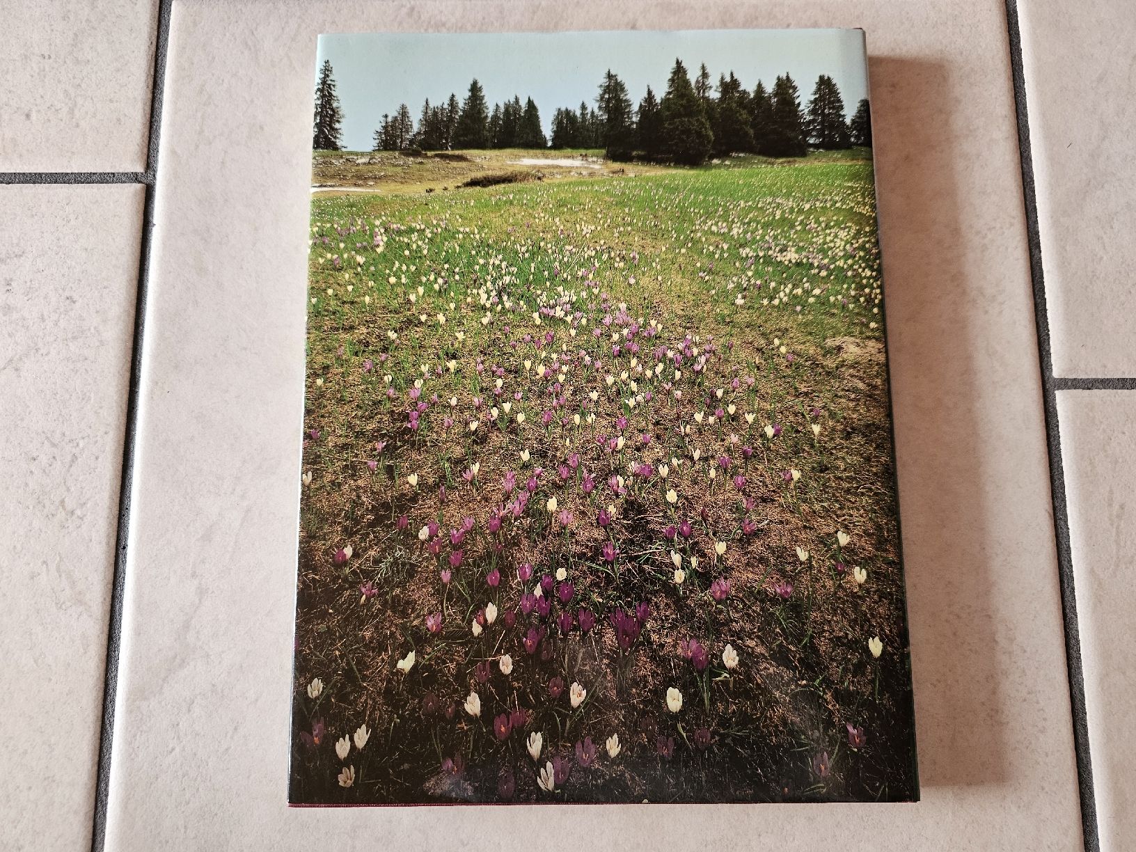 Libri: Der Jura  /  144 Seiten – Usato da Schneisingen venduto da backstore24 1